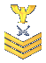 Lieutenant Colonel